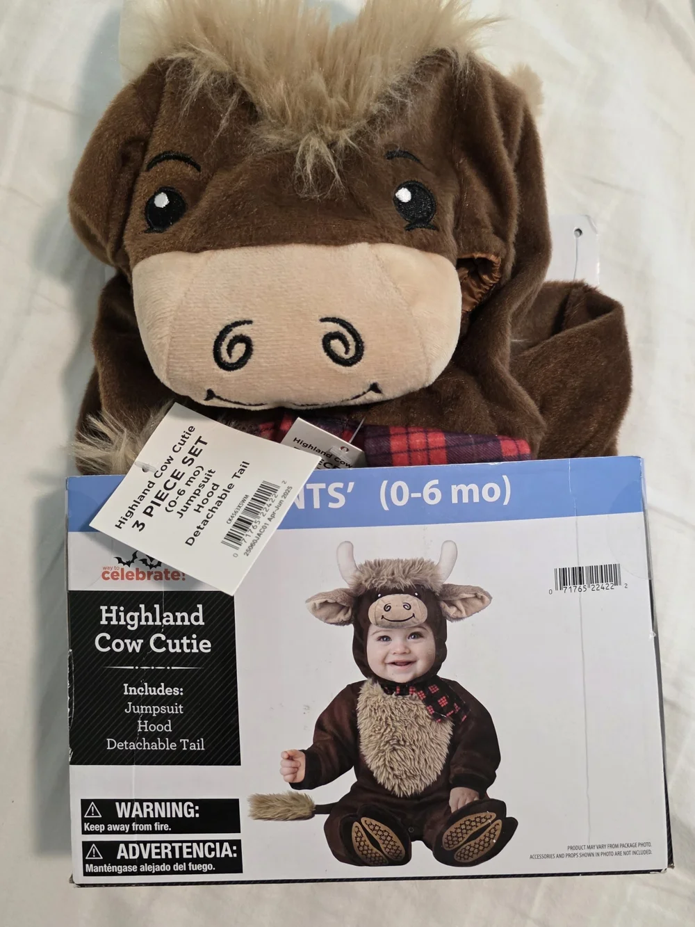 Celebrate It adorable brown